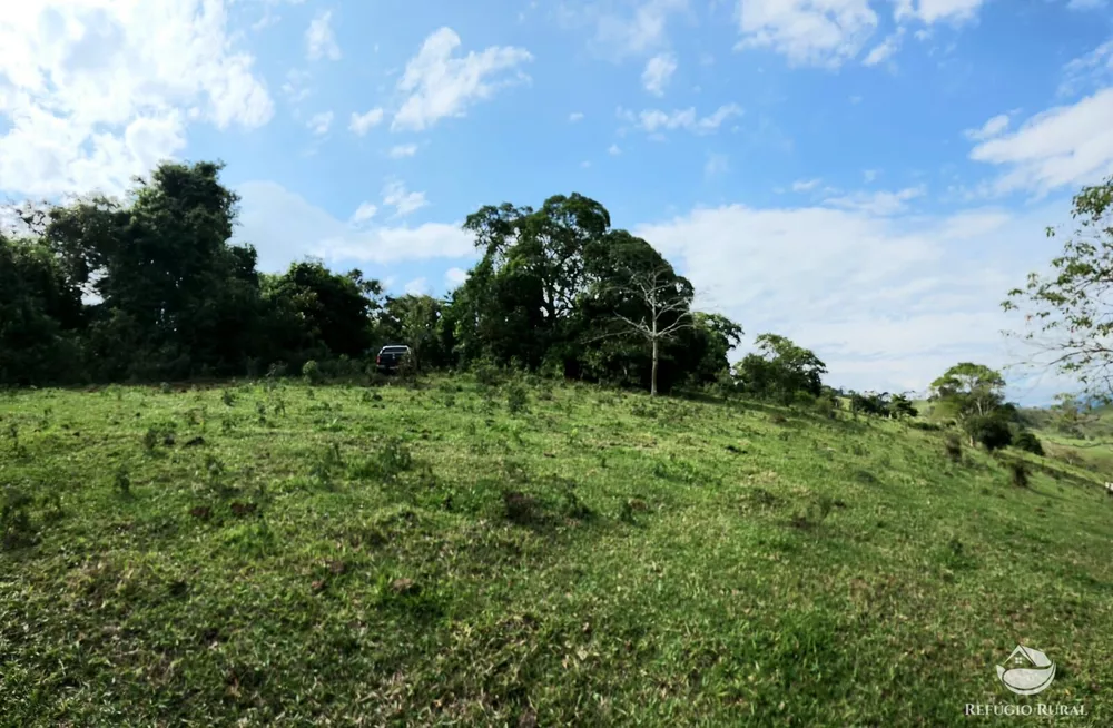 Terreno, 6 hectares - Foto 3