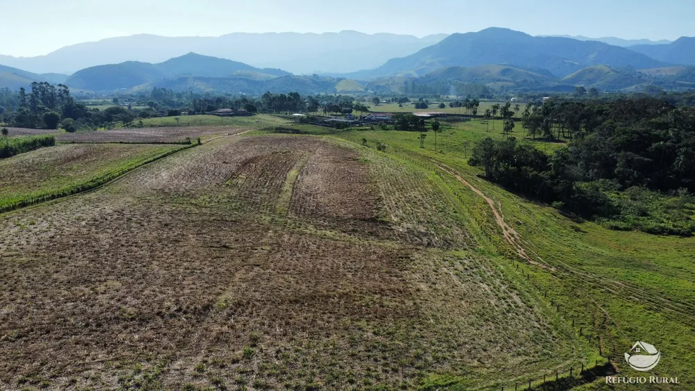 Fazenda, 96 hectares - Foto 6