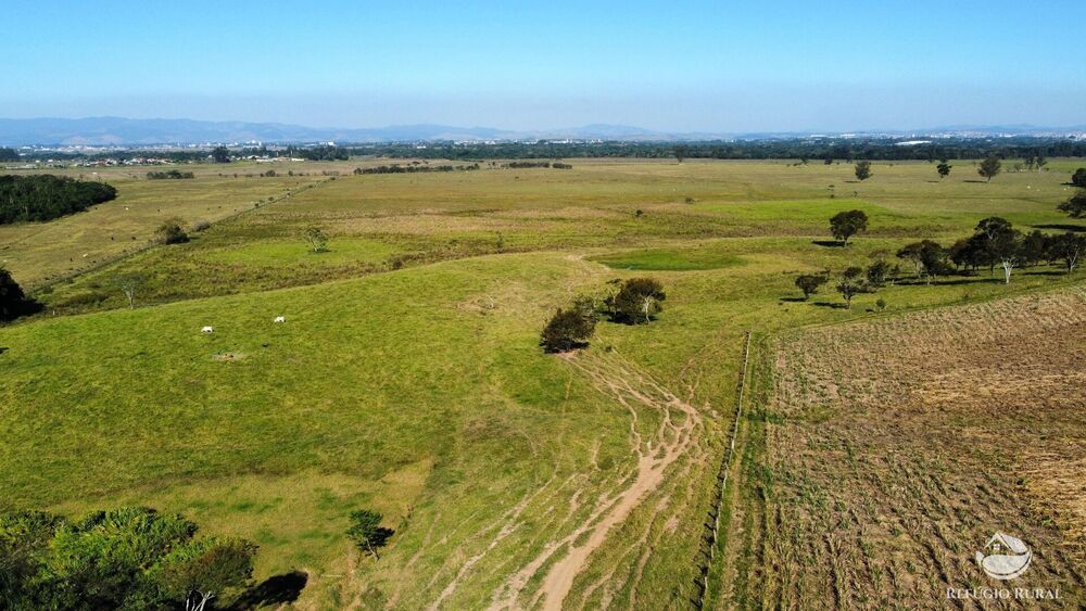Fazenda, 96 hectares - Foto 4