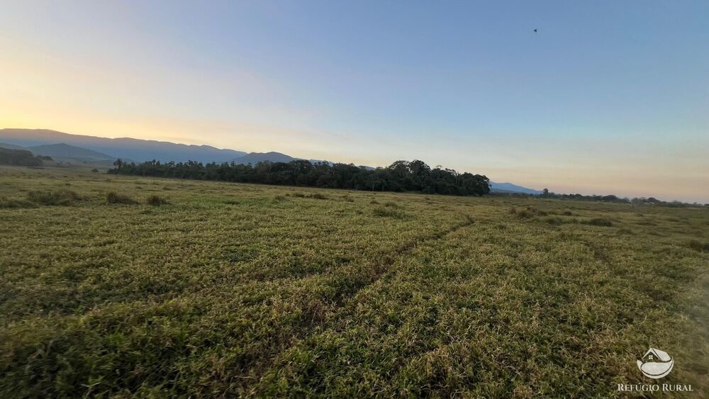 Fazenda, 96 hectares - Foto 3