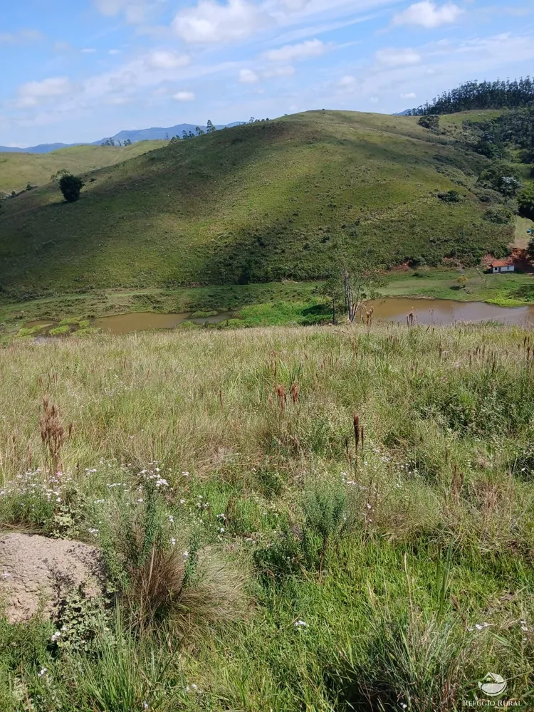 Terreno, 2 hectares - Foto 8