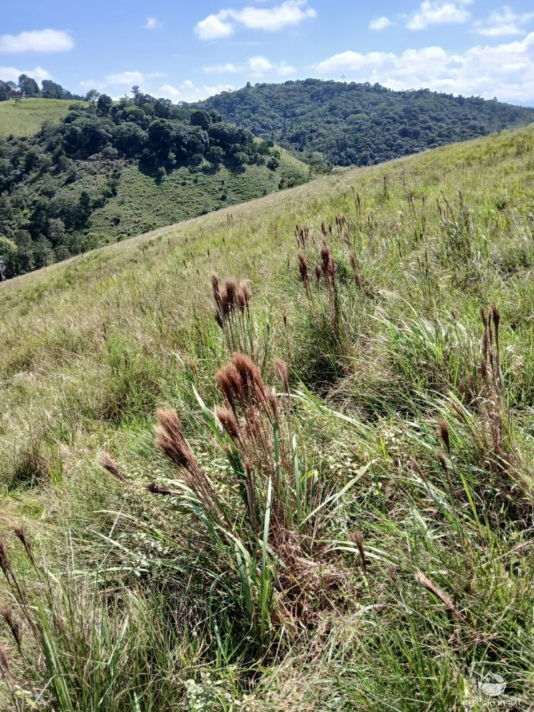 Terreno, 2 hectares - Foto 10