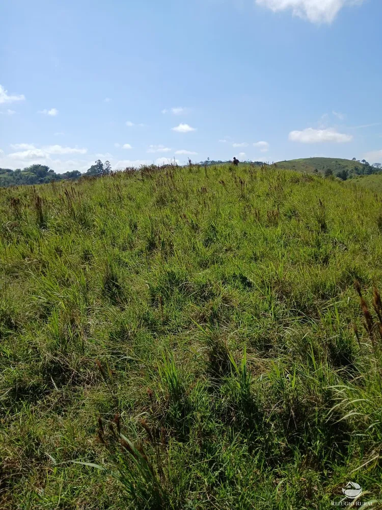 Terreno, 2 hectares - Foto 13