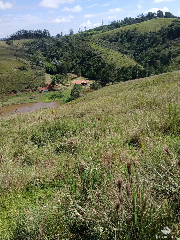 Terreno, 2 hectares - Foto 1