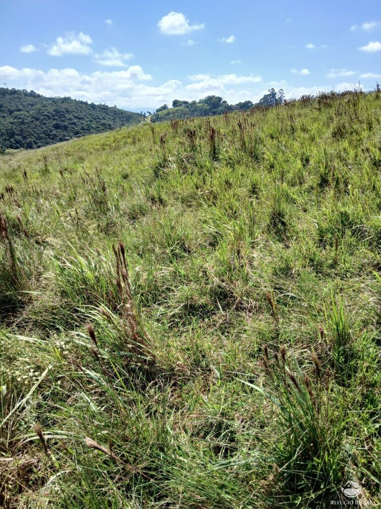 Terreno à venda, 20000m² - Foto 4