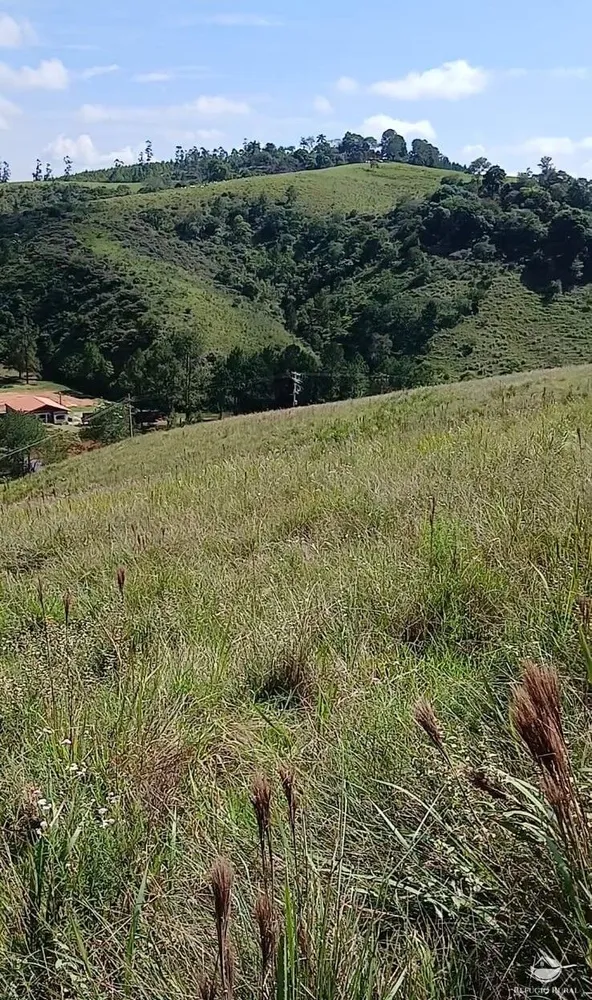 Terreno, 2 hectares - Foto 3
