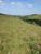 Terreno, 2 hectares - Foto 1