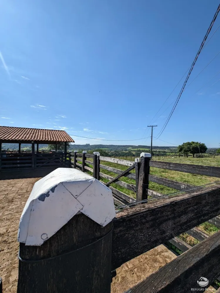 Fazenda, 510 hectares - Foto 6