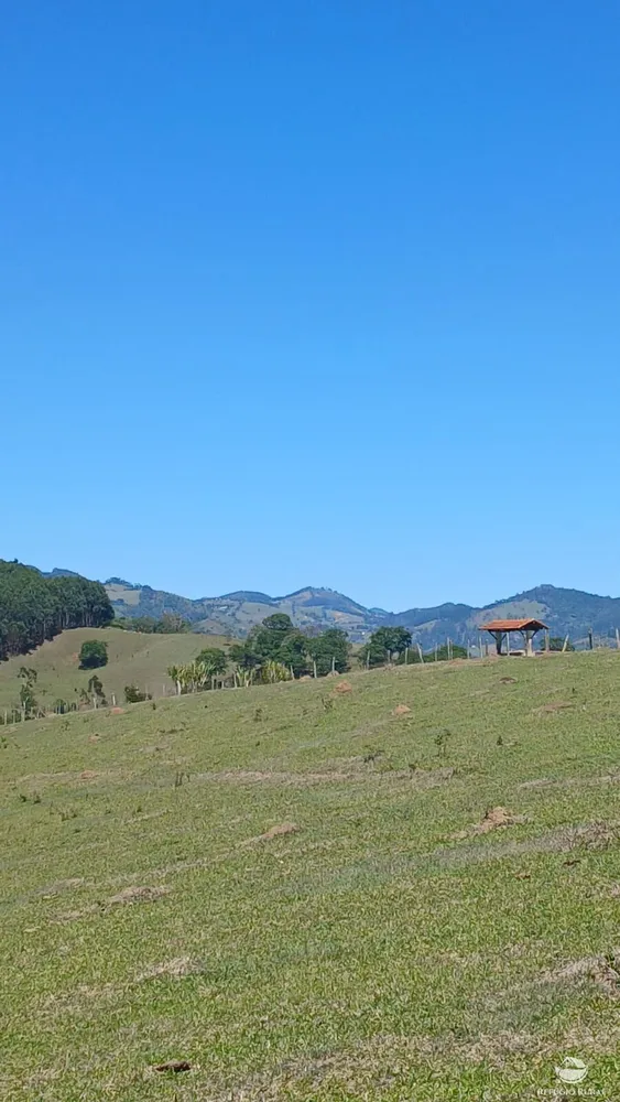 Terreno, 2 hectares - Foto 10