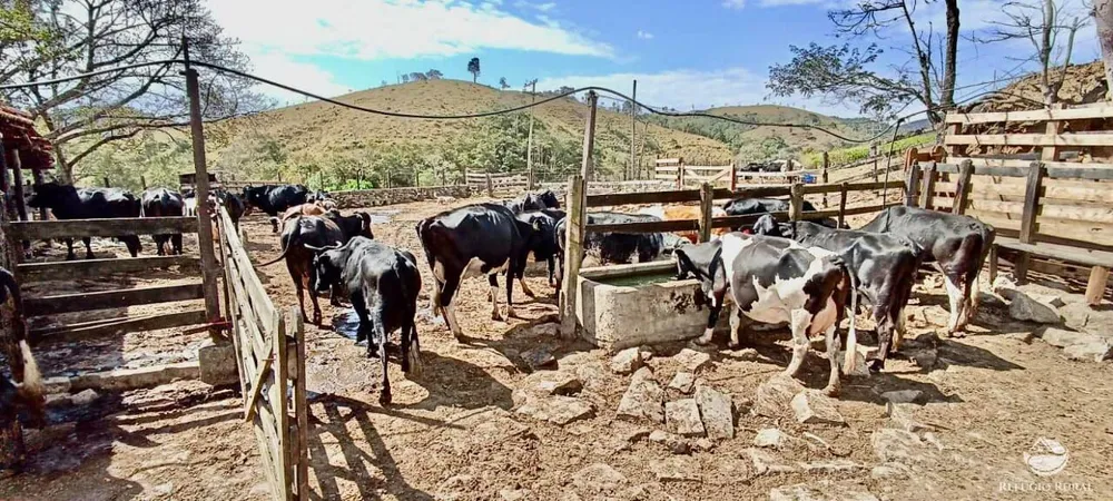 Fazenda, 152 m² - Foto 5