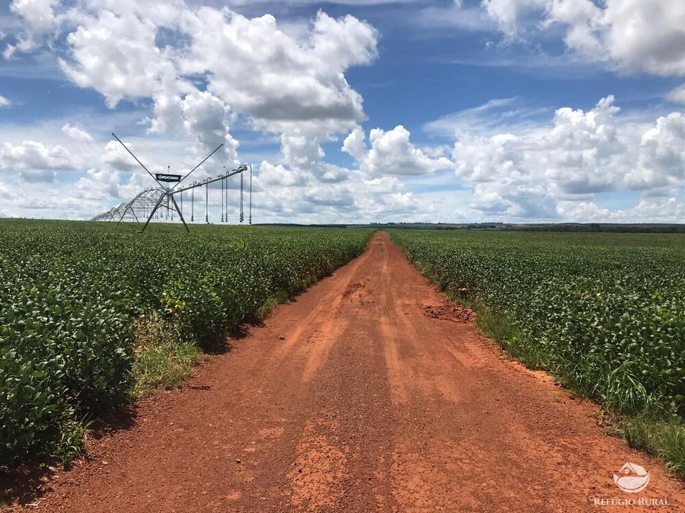 Fazenda, 1110 hectares - Foto 3