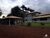 Fazenda-Sítio-Chácara, 1110 hectares - Foto 1