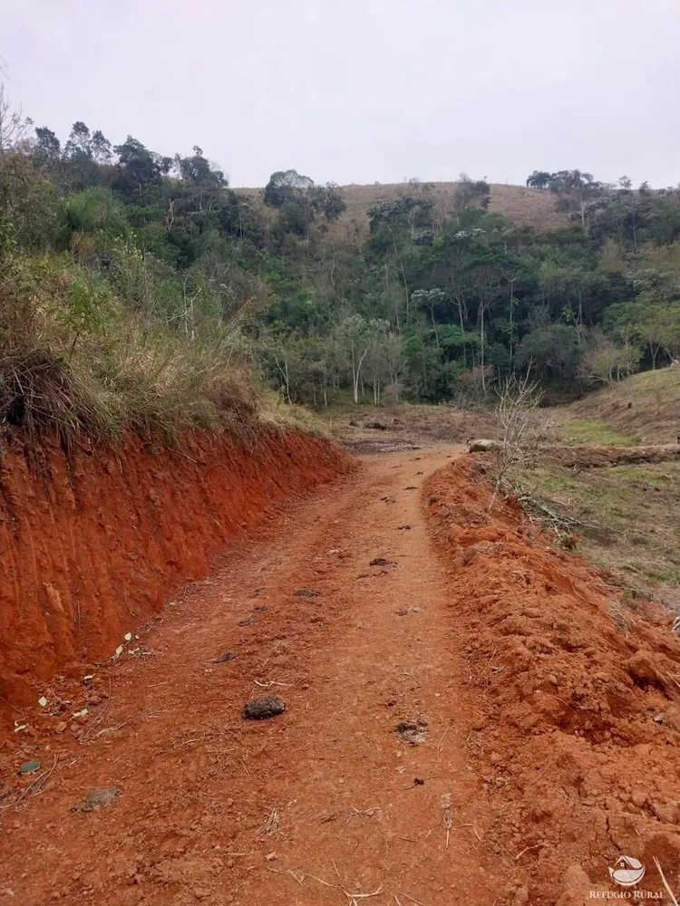 Terreno, 11 hectares - Foto 6