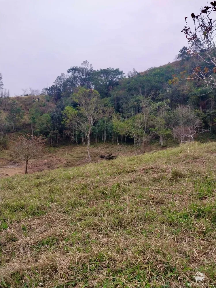 Terreno, 11 hectares - Foto 12