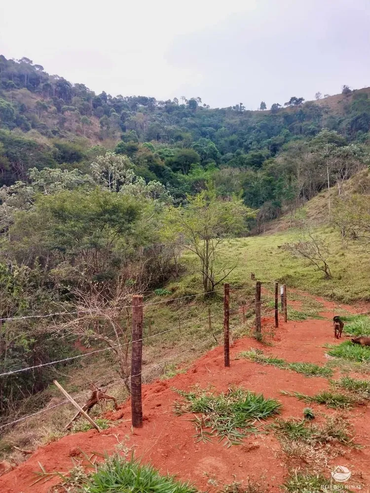Terreno, 11 hectares - Foto 11