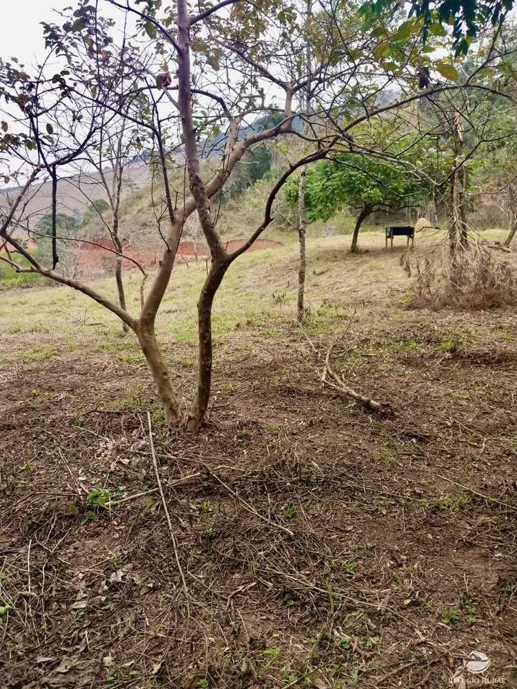 Terreno, 11 hectares - Foto 9