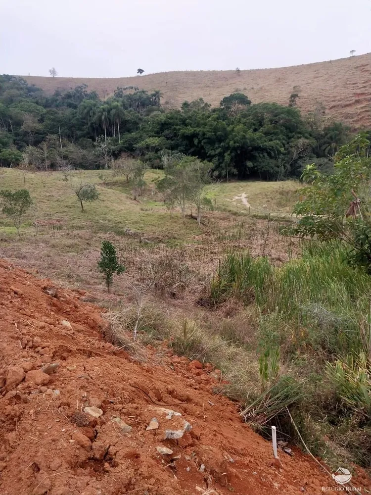 Terreno, 11 hectares - Foto 4