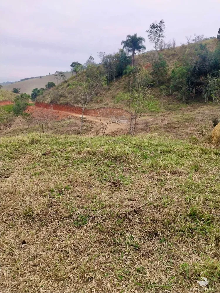 Terreno, 11 hectares - Foto 7