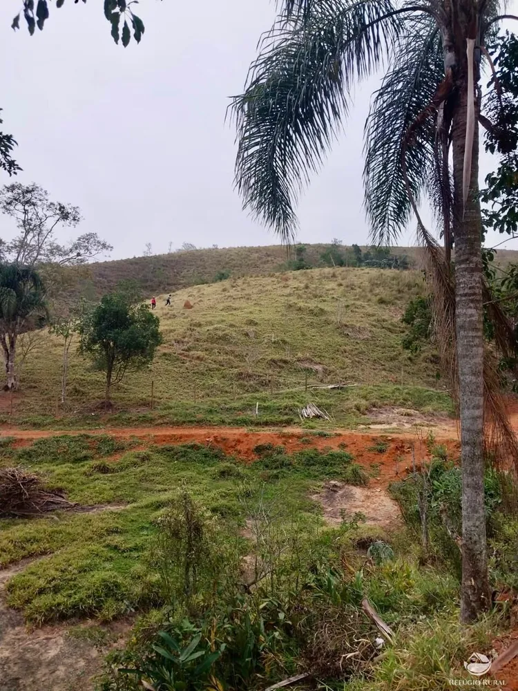 Terreno, 11 hectares - Foto 3