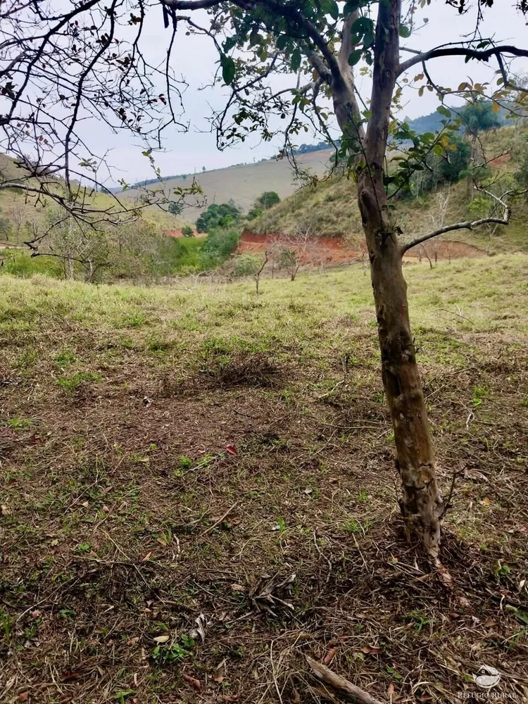 Terreno, 11 hectares - Foto 8