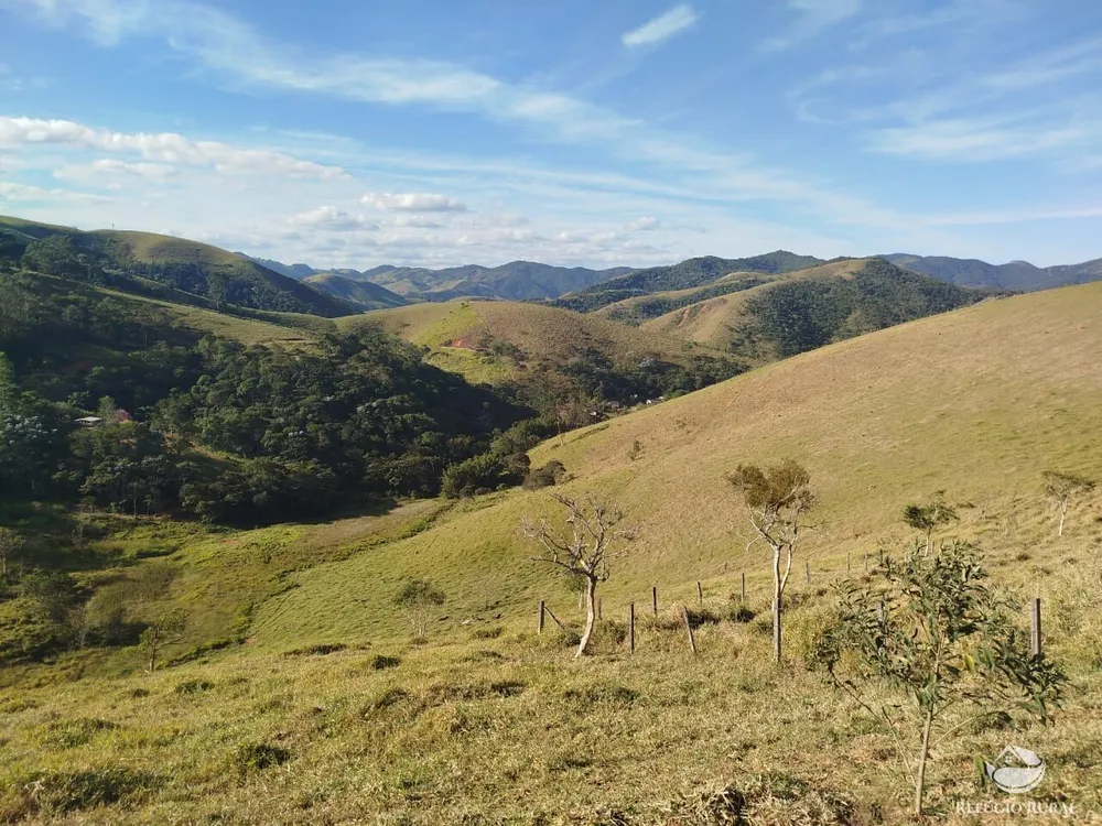 Chácara, 2 hectares - Foto 2
