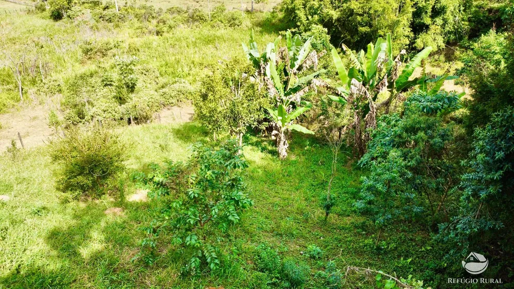 Chácara, 2 hectares - Foto 12
