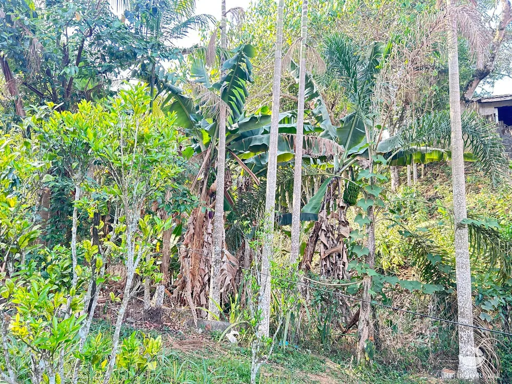 Chácara, 2100 m² - Foto 7