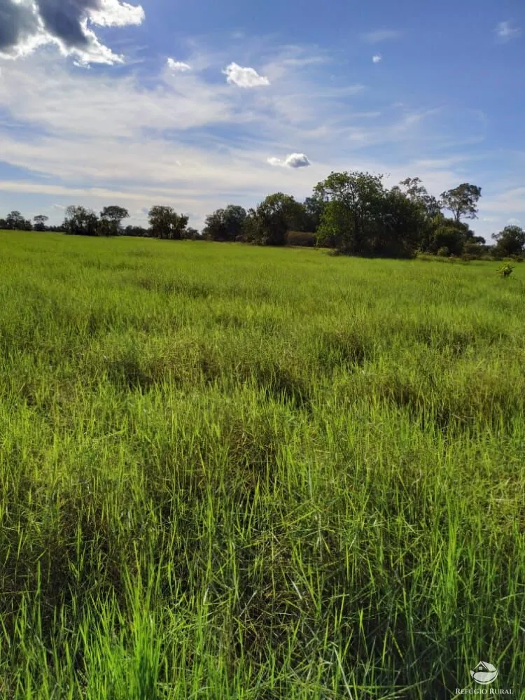 Fazenda, 7800 hectares - Foto 2