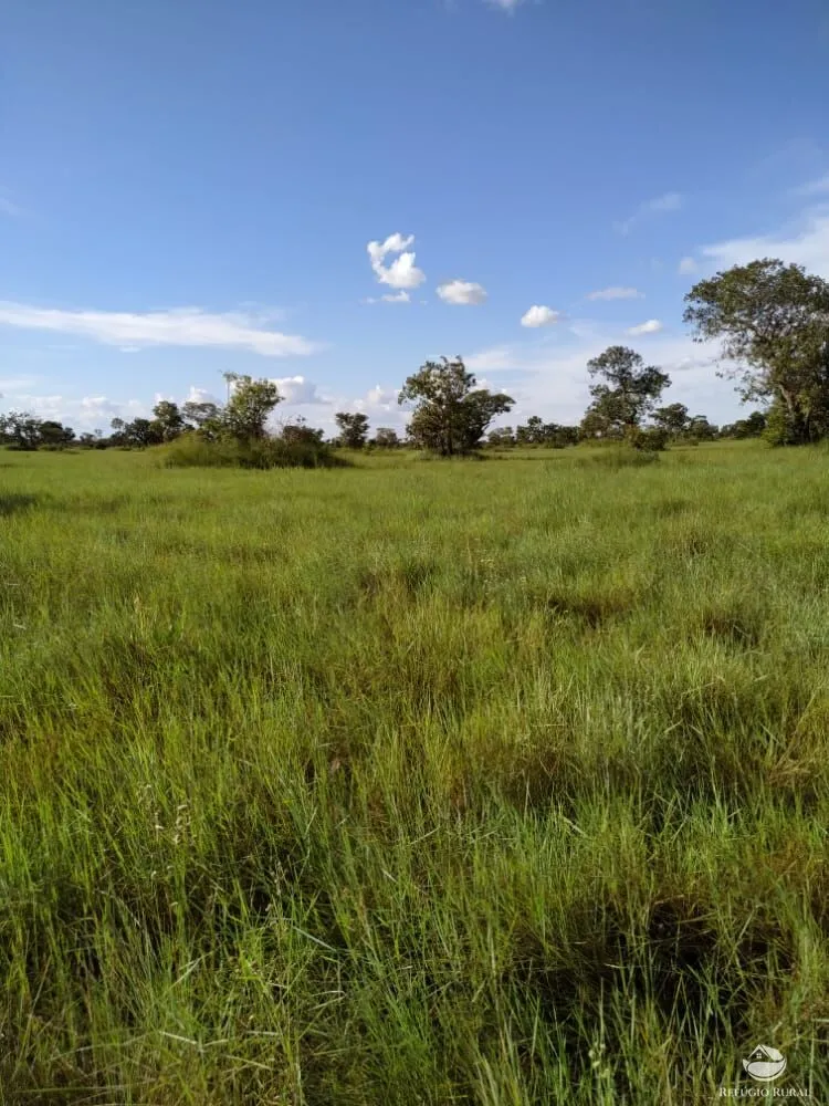 Fazenda, 7800 hectares - Foto 4