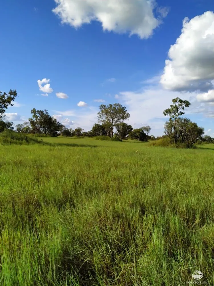 Fazenda, 7800 hectares - Foto 2