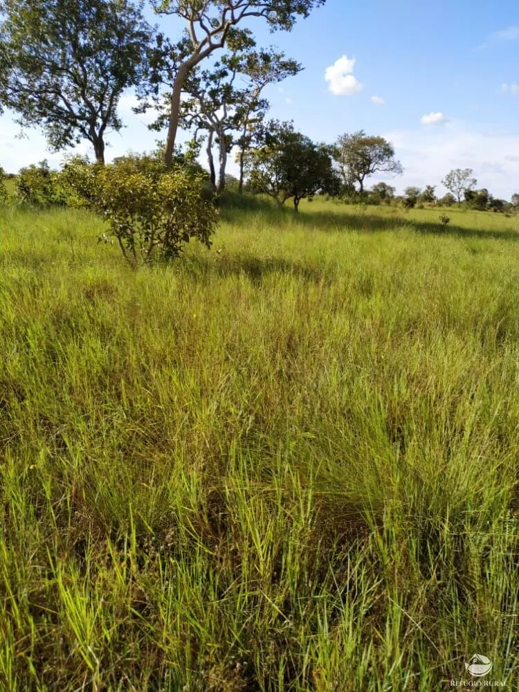 Fazenda, 7800 hectares - Foto 8
