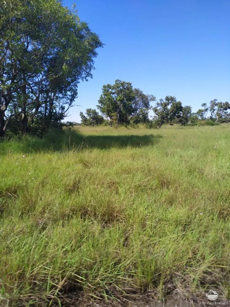 Fazenda, 7800 hectares - Foto 1
