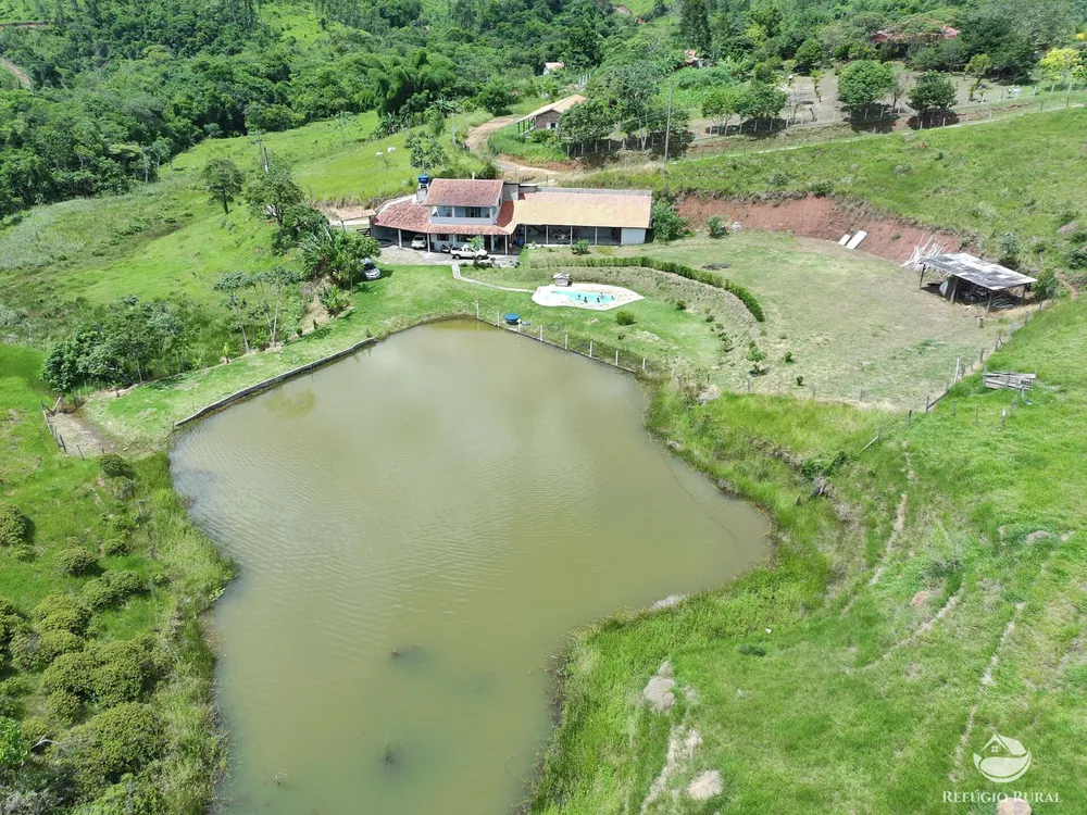 Sítio, 3 hectares - Foto 8