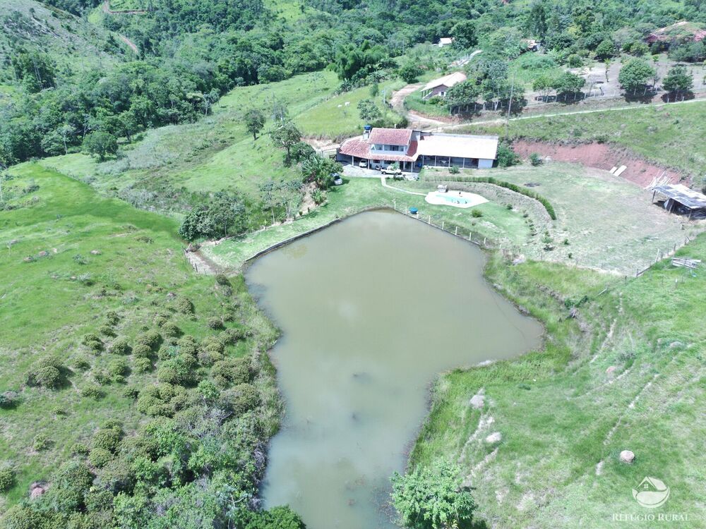 Sítio, 3 hectares - Foto 2