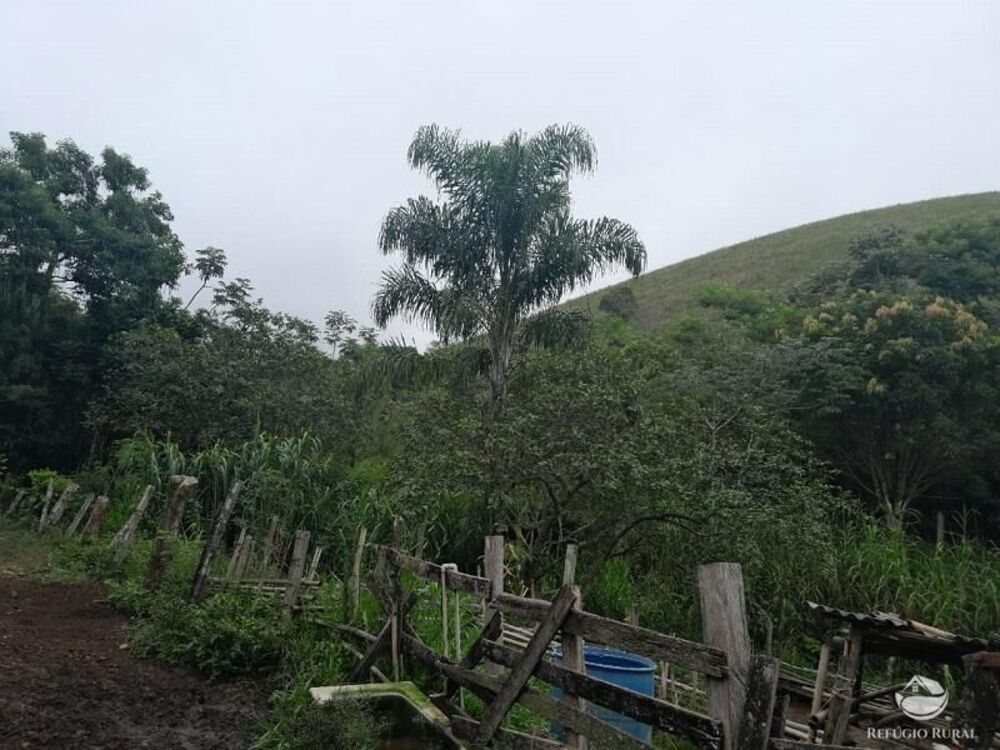 Sítio, 3 quartos, 27 hectares - Foto 1