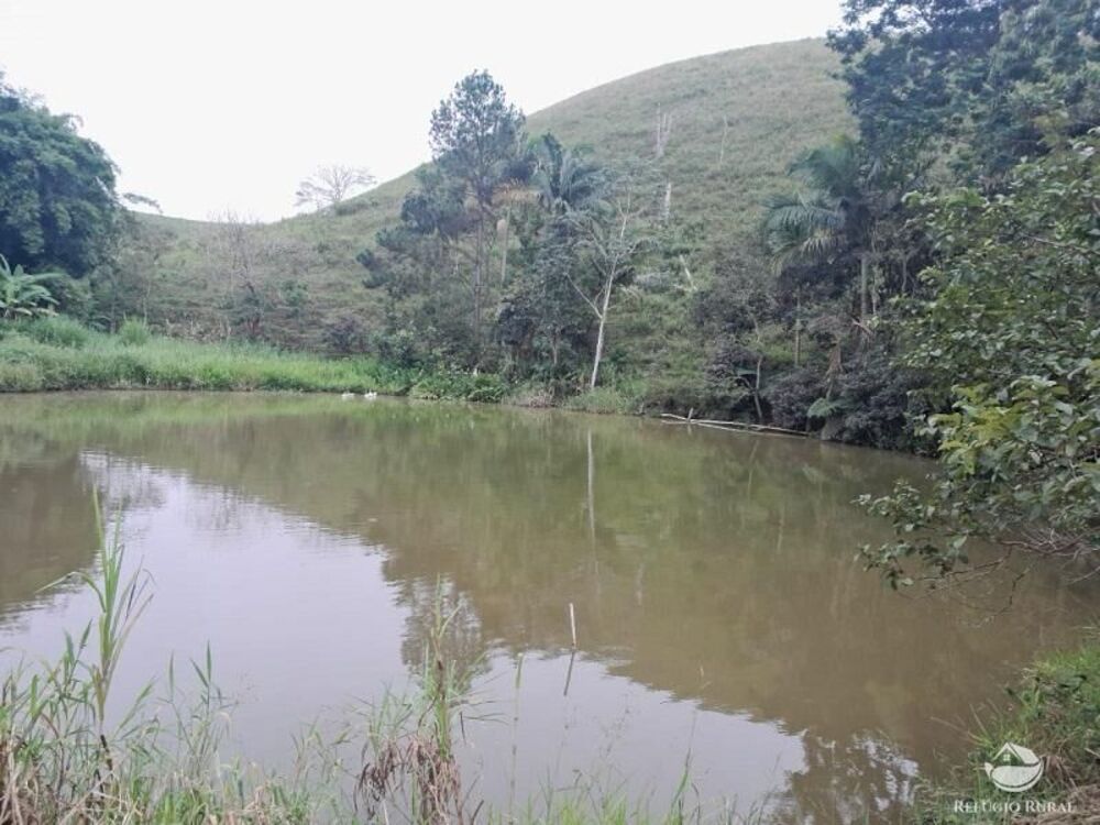 Sítio, 3 quartos, 27 hectares - Foto 3