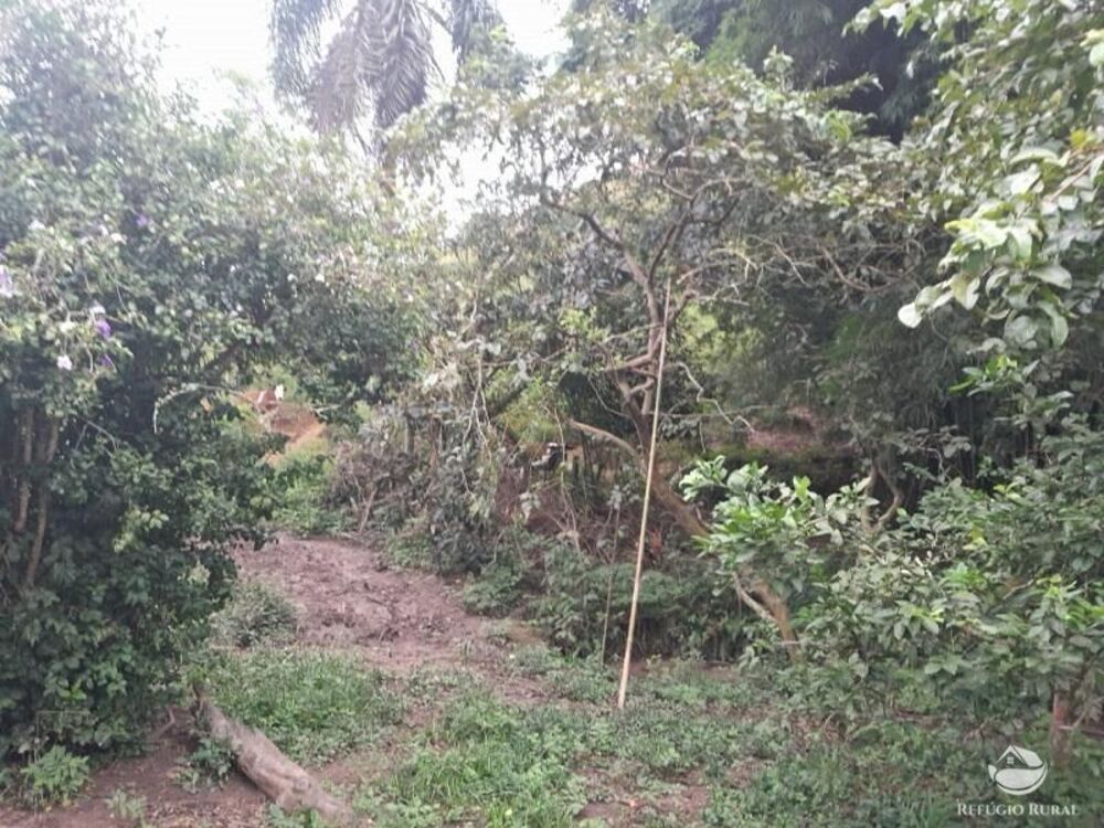 Sítio, 3 quartos, 27 hectares - Foto 4