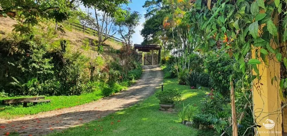 Fazenda, 338 hectares - Foto 5