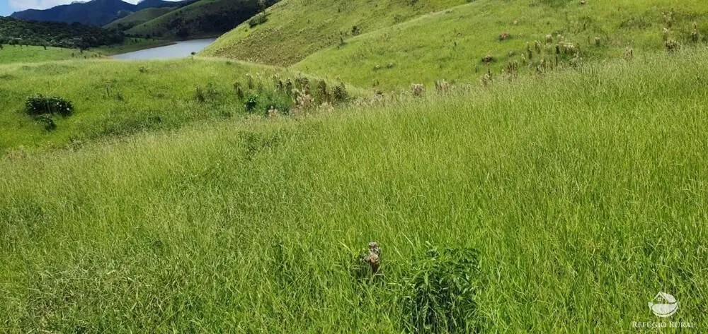 Fazenda, 338 hectares - Foto 1