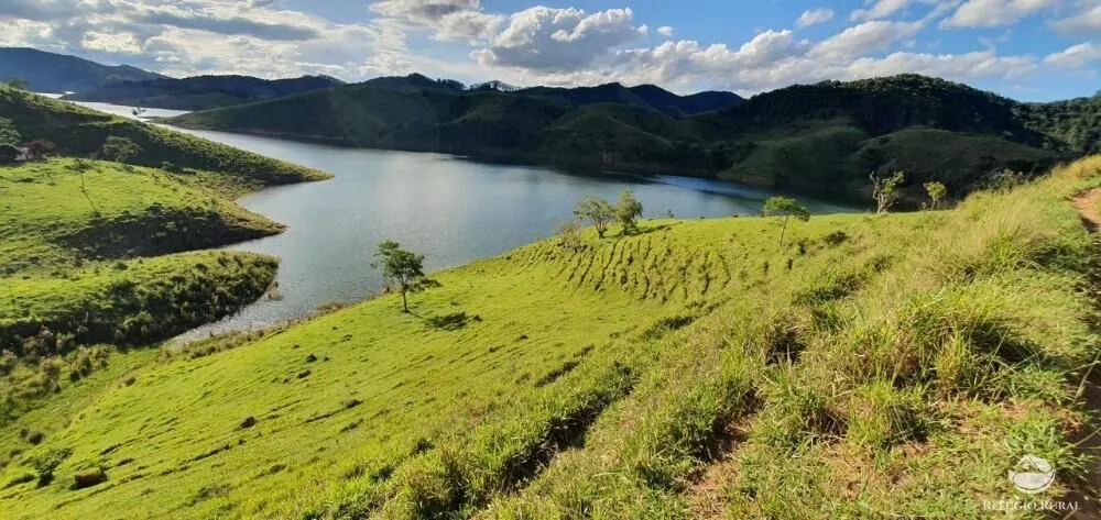 Fazenda, 338 hectares - Foto 7