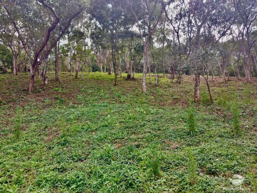 Chácara, 6700 m² - Foto 13