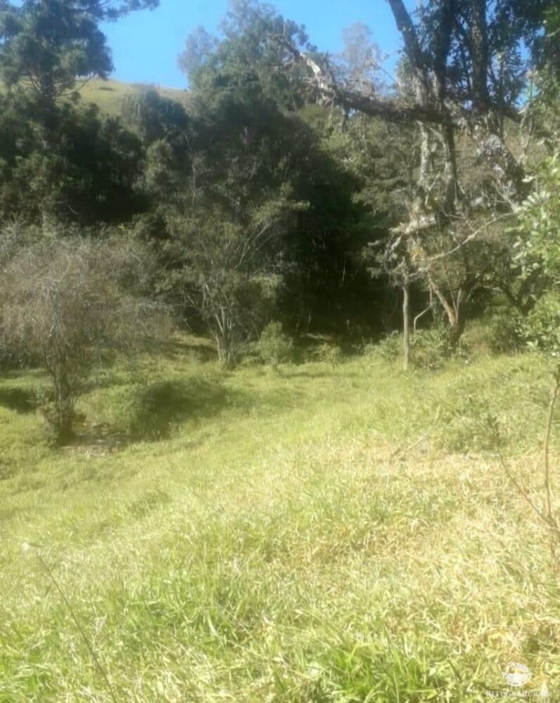 Terreno, 2 hectares - Foto 16