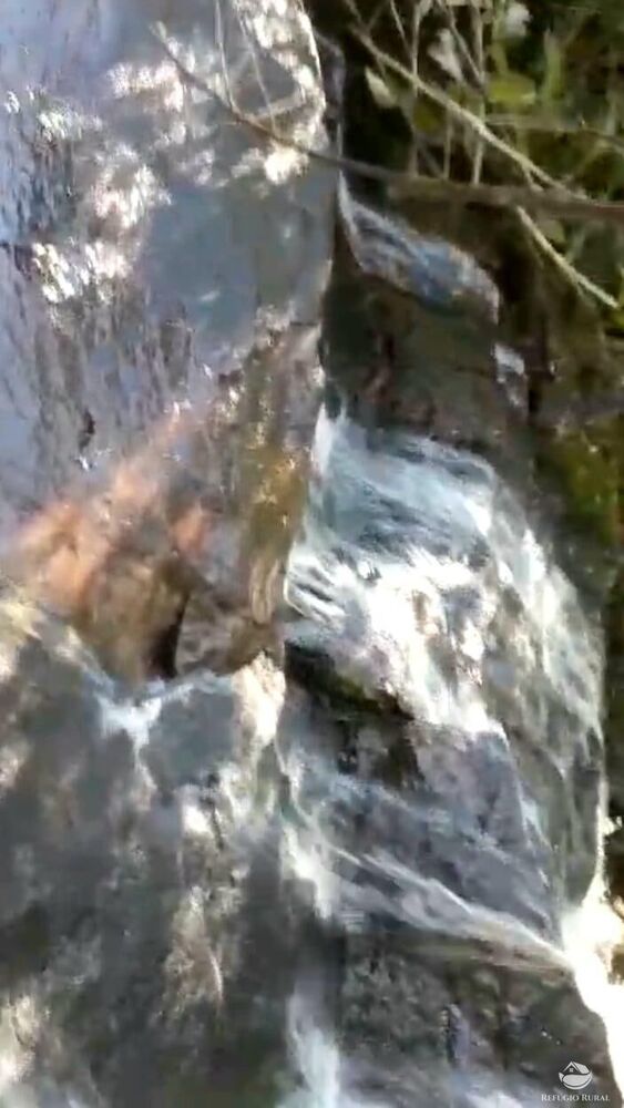 Terreno, 2 hectares - Foto 7