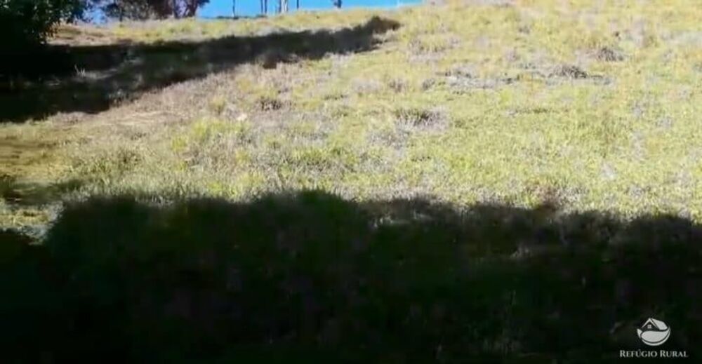 Terreno, 2 hectares - Foto 19