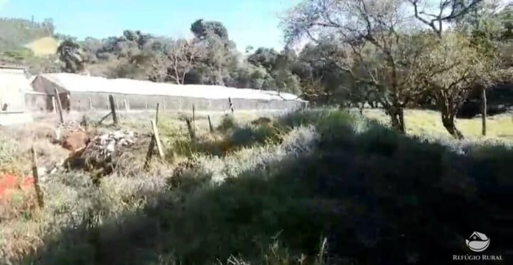 Terreno, 2 hectares - Foto 13