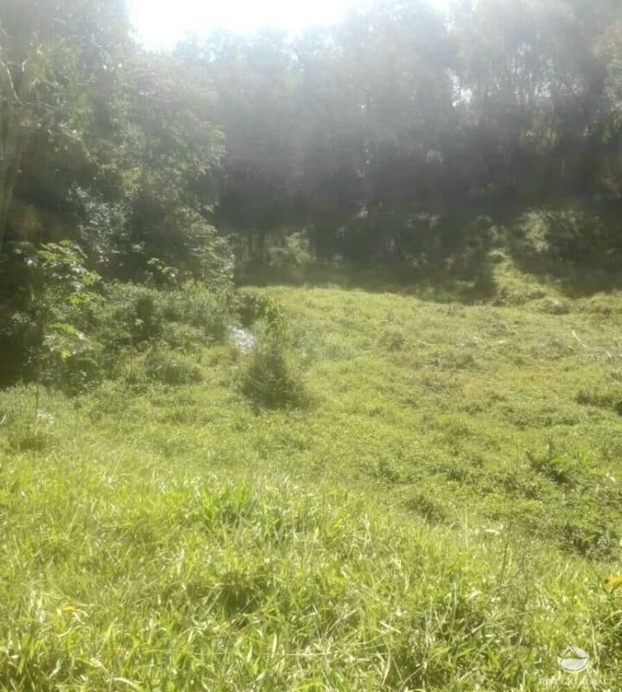 Terreno, 2 hectares - Foto 18