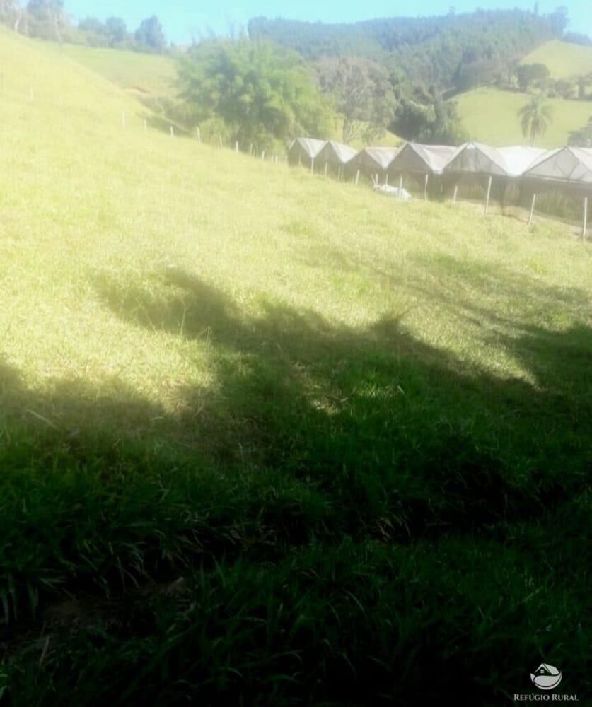 Terreno, 2 hectares - Foto 25