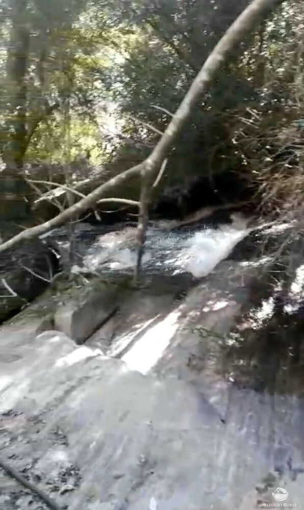 Terreno, 2 hectares - Foto 9