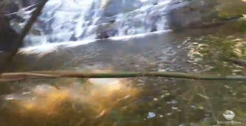 Terreno, 2 hectares - Foto 12