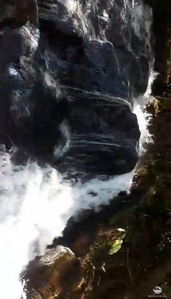 Terreno, 2 hectares - Foto 11